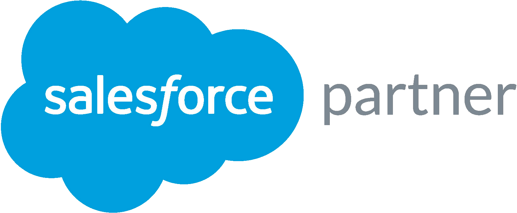 Salesforce Partner